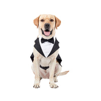 HKM-257939 Stylish Black Bow Tie Dog Suit with Skirt – Sizes S to 2XL