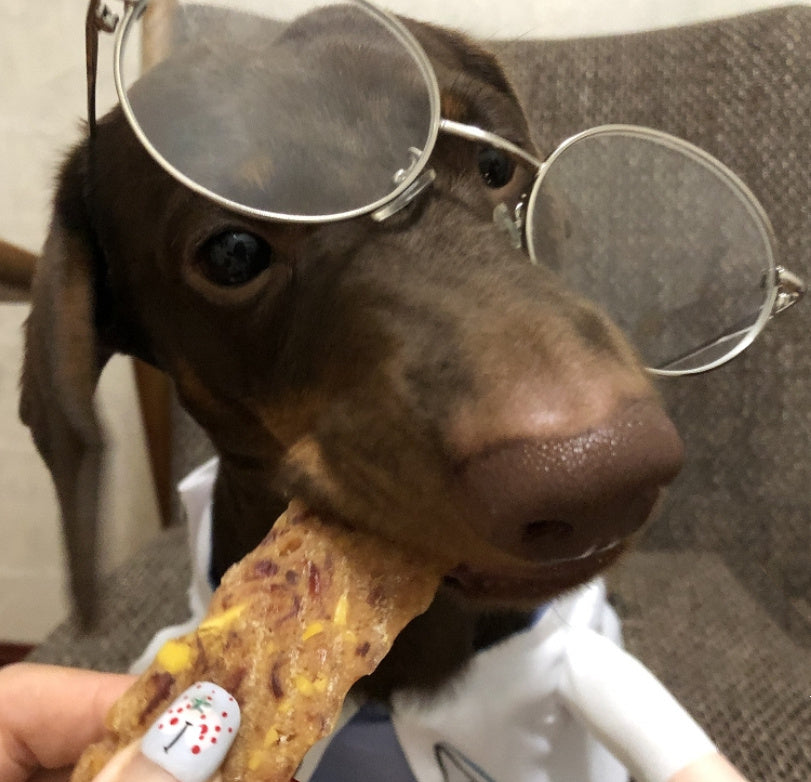 HKM-258131 Dachshund Doctor Costume - Funny Pet Outfit for Small to XL Dogs