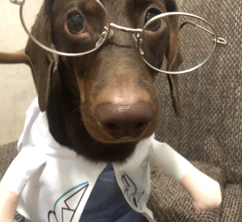 HKM-258131 Dachshund Doctor Costume - Funny Pet Outfit for Small to XL Dogs