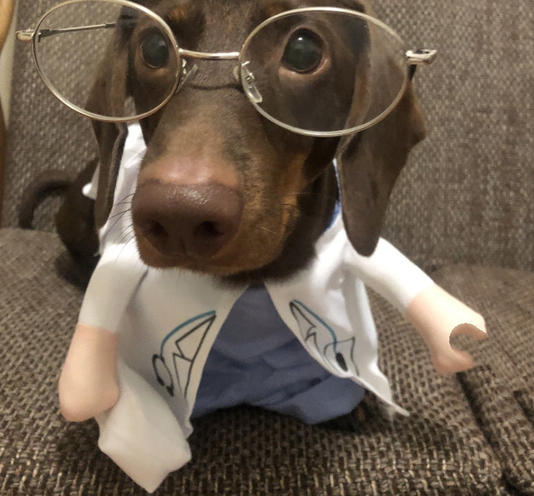 HKM-258131 Dachshund Doctor Costume - Funny Pet Outfit for Small to XL Dogs