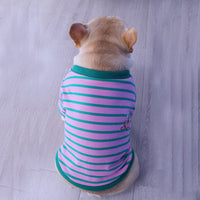 HKM-259091 Striped T-Shirt Sweater for Dogs in Pink Green, Yellow Blue, and Blue Yellow – Sizes S to XXL