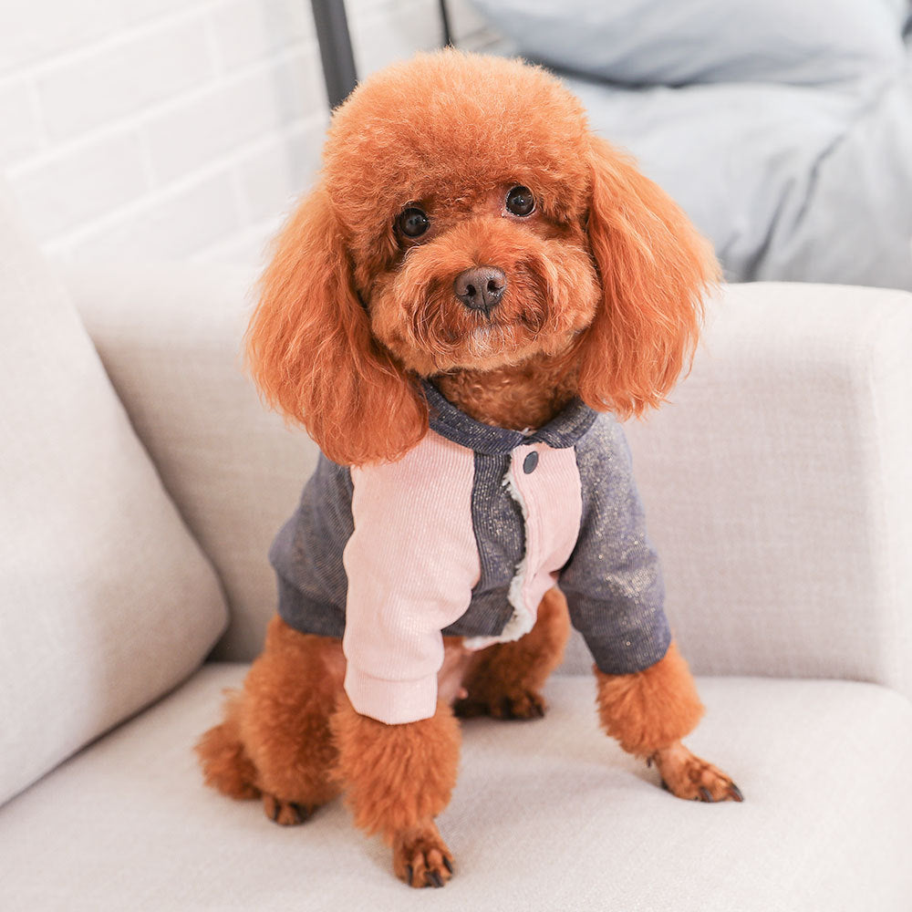 HKM-261395 Cute Cotton Coat for Small Dogs - Three-Color Lightning Feet Design, Sizes XS to XXL