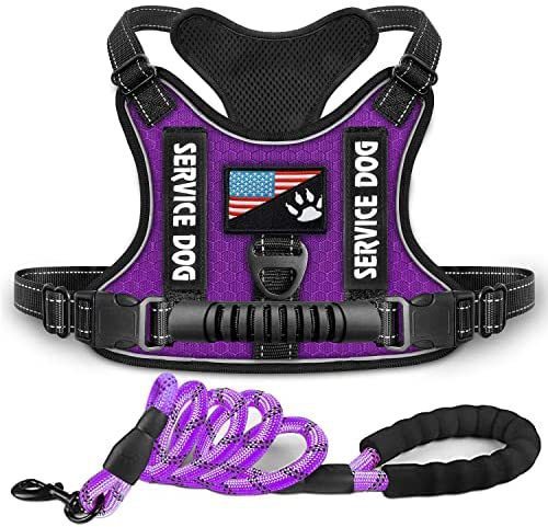 HKM-262291 Reflective Night Vision Shock Absorption Pet Harness with Traction Chest Strap for Dogs