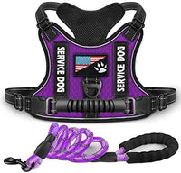 HKM-262291 Reflective Night Vision Shock Absorption Pet Harness with Traction Chest Strap for Dogs
