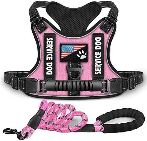 HKM-262291 Reflective Night Vision Shock Absorption Pet Harness with Traction Chest Strap for Dogs