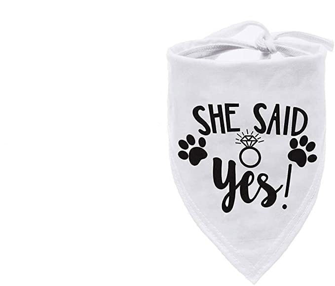 HKM-263955 Triangle Pet Scarf and Saliva Towel, Geometric Polyester Bandana for Dogs and Cats, Four Seasons Wear