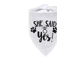 HKM-263955 Triangle Pet Scarf and Saliva Towel, Geometric Polyester Bandana for Dogs and Cats, Four Seasons Wear