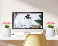 HKM-263955 Wireless Portable Bluetooth Speaker with Succulent Plant Light and Call Function, Dustproof and Anti-Drop Design
