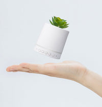 HKM-263955 Wireless Portable Bluetooth Speaker with Succulent Plant Light and Call Function, Dustproof and Anti-Drop Design
