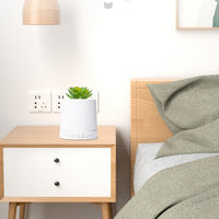 HKM-263955 Wireless Portable Bluetooth Speaker with Succulent Plant Light and Call Function, Dustproof and Anti-Drop Design