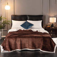 HKM-264019 Double Coral Fleece Blanket - Thick, Soft Polyester Material for Comfort and Warmth