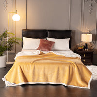 HKM-264019 Double Coral Fleece Blanket - Thick, Soft Polyester Material for Comfort and Warmth