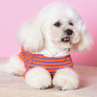 HKM-265427 Hooded Striped Sweater for Small Dogs - Casual Cotton Sportswear in Orange and Green