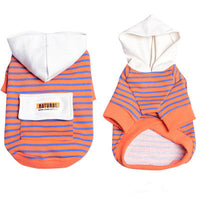 HKM-265427 Hooded Striped Sweater for Small Dogs - Casual Cotton Sportswear in Orange and Green