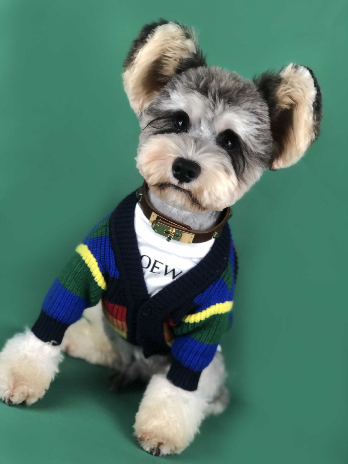 HKM-265811 Rainbow Striped Dog Cardigan in Blue and Red - Sizes S to XXL