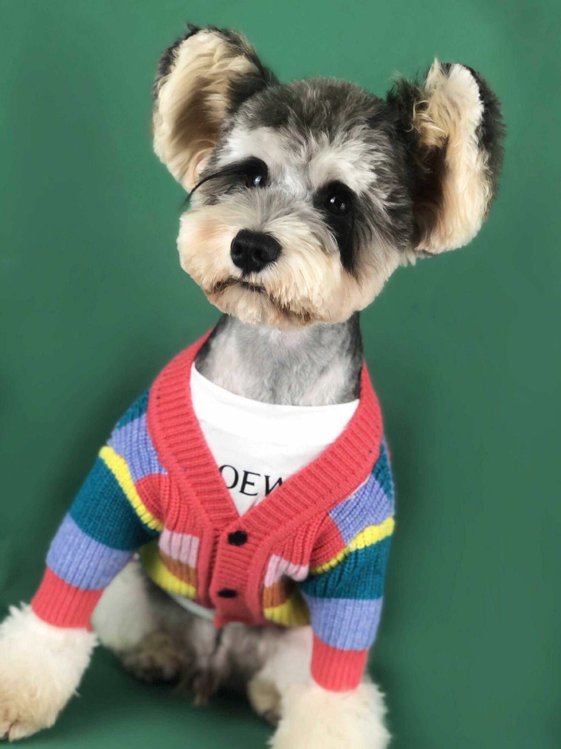 HKM-265811 Rainbow Striped Dog Cardigan in Blue and Red - Sizes S to XXL