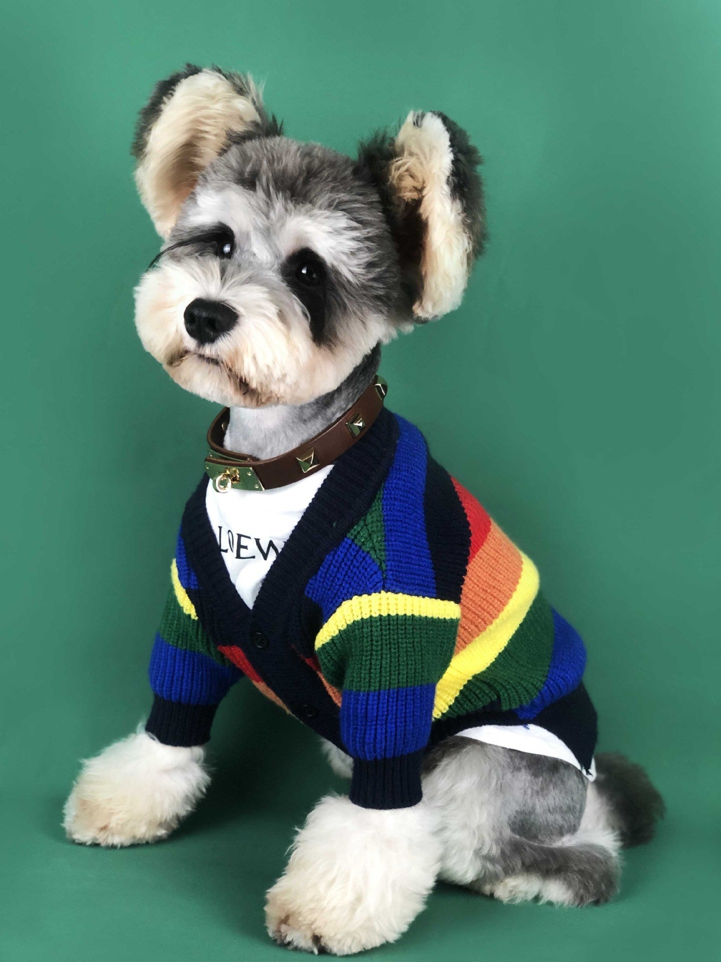HKM-265811 Rainbow Striped Dog Cardigan in Blue and Red - Sizes S to XXL