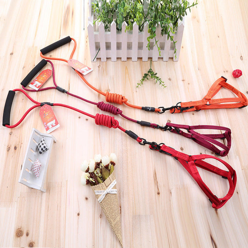 HKM-266387 Durable Scalable Nylon Leash for Small and Medium Dogs - Multiple Color Options Available