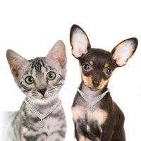 HKM-267539 Fashionable Solid Color Dog and Cat Collar with Leash - Available in Green, Blue, Purple, Pink