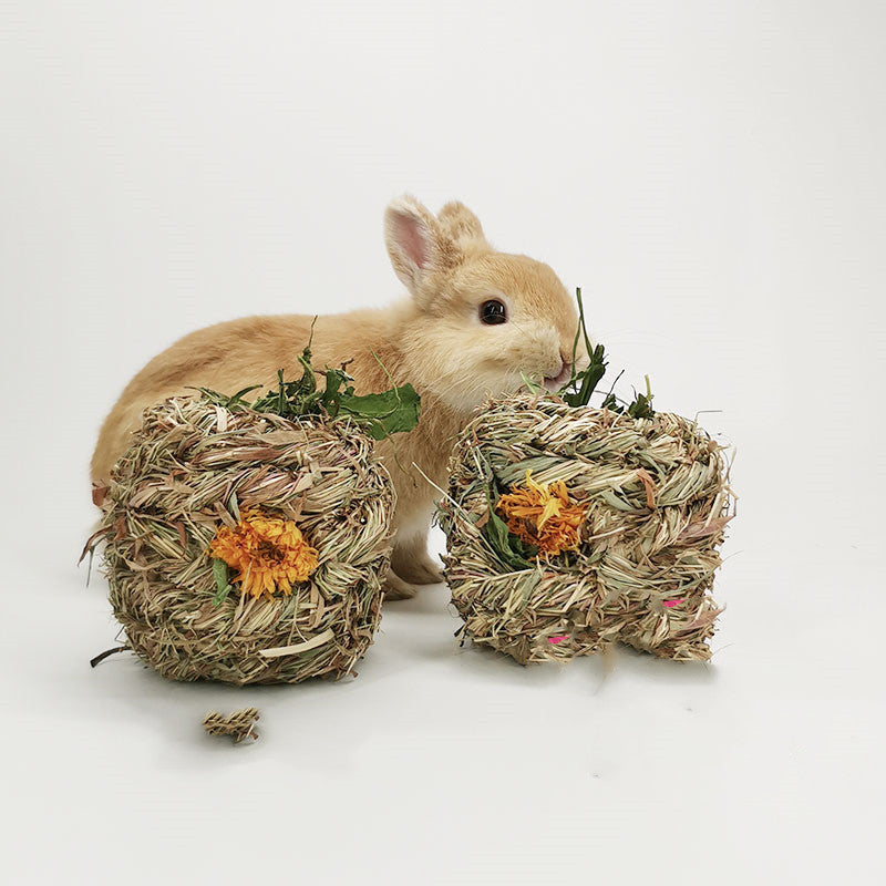 HKM-271443 Small Pet Dandelion and Marigold Grass Ball - Fun Chew Toy for Pets