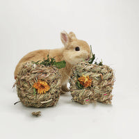 HKM-271443 Small Pet Dandelion and Marigold Grass Ball - Fun Chew Toy for Pets