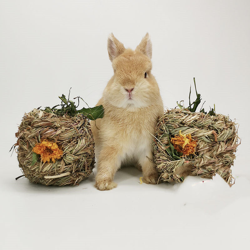 HKM-271443 Small Pet Dandelion and Marigold Grass Ball - Fun Chew Toy for Pets