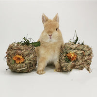 HKM-271443 Small Pet Dandelion and Marigold Grass Ball - Fun Chew Toy for Pets