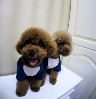 HKM-272403 Fashionable Dog Sweatshirt with Embroidered Letter Design - Available in Multiple Sizes