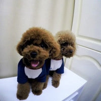 HKM-272403 Fashionable Dog Sweatshirt with Embroidered Letter Design - Available in Multiple Sizes