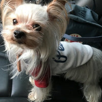 HKM-272403 Fashionable Dog Sweatshirt with Embroidered Letter Design - Available in Multiple Sizes