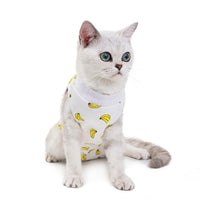 HKM-273171 Breathable Cotton Physiological Pants for Pets in Fun Colors