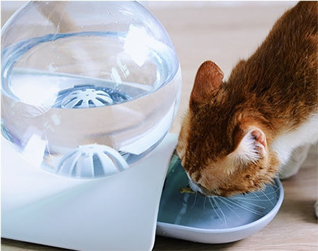 HKM-275475 Compact Non-Wet Mouth Water Dispenser for Cats and Small Pets - 2.8L Capacity