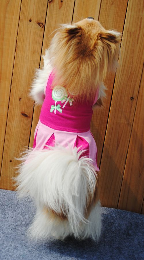 HKM-276051 Cotton Summer Dress for Dogs and Cats - Princess Style in Various Sizes