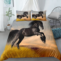 HKM-277075 Digital Printed Cartoon Quilt Cover and Pillow Case Set - Multiple Sizes Available