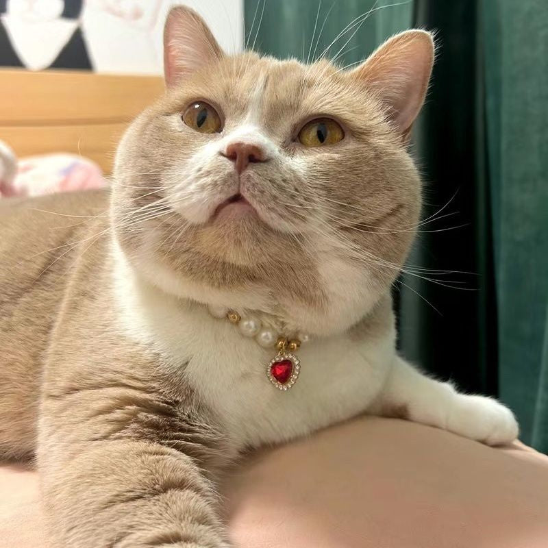 HKM-278419 Charming Pearl Necklace in Various Colors and Sizes for Cat Lovers