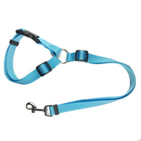 HKM-279891 Dual-Purpose Pet Traction Rope and Car Seat Belt in Multiple Colors
