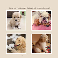 HKM-281683 Bite-Resistant Cotton Rope Luncheon Meat Bite Toy for Cats and Dogs