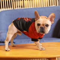 HKM-282963 Casual Black Knitted Velvet Puppy Sweater with Tiger Head Design, Sizes XS-2XL