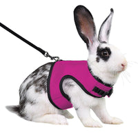 HKM-283539 Guinea Pig and Rabbit Traction Vest with Adjustable Chest Strap - Multiple Colors Available