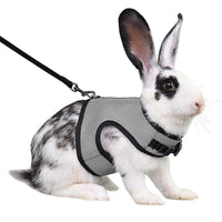 HKM-283539 Guinea Pig and Rabbit Traction Vest with Adjustable Chest Strap - Multiple Colors Available