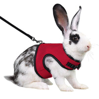 HKM-283539 Guinea Pig and Rabbit Traction Vest with Adjustable Chest Strap - Multiple Colors Available