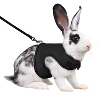 HKM-283539 Guinea Pig and Rabbit Traction Vest with Adjustable Chest Strap - Multiple Colors Available