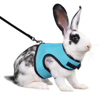 HKM-283539 Guinea Pig and Rabbit Traction Vest with Adjustable Chest Strap - Multiple Colors Available