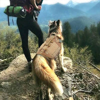 HKM-284307 Large Dog Tactical Harness with Leash and Backpack for Training Activities