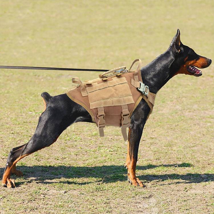 HKM-284307 Large Dog Tactical Harness with Leash and Backpack for Training Activities
