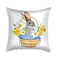HKM-285715 Plush Cartoon Pillowcase for Bedroom, Sofa, and Car - 45cmx45cm Polyester Design
