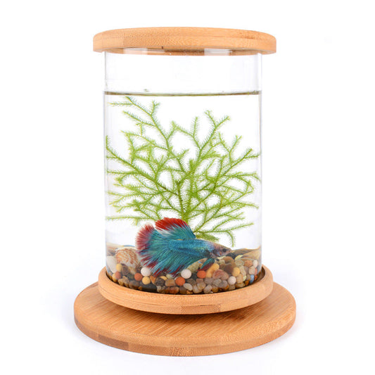 HKM-286483 Mini Glass Aquarium with Bamboo Base for Small Office Décor