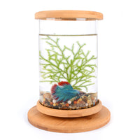 HKM-286483 Mini Glass Aquarium with Bamboo Base for Small Office Décor
