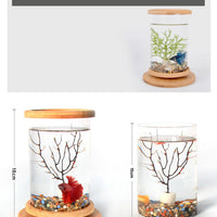 HKM-286483 Mini Glass Aquarium with Bamboo Base for Small Office Décor
