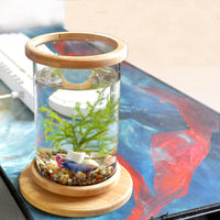 HKM-286483 Mini Glass Aquarium with Bamboo Base for Small Office Décor